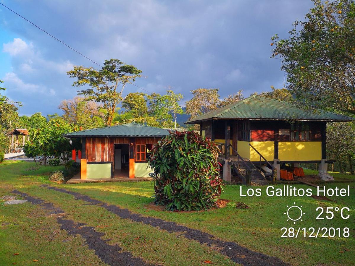 Los Gallitos Eco Lodge San Miguel  客房 照片