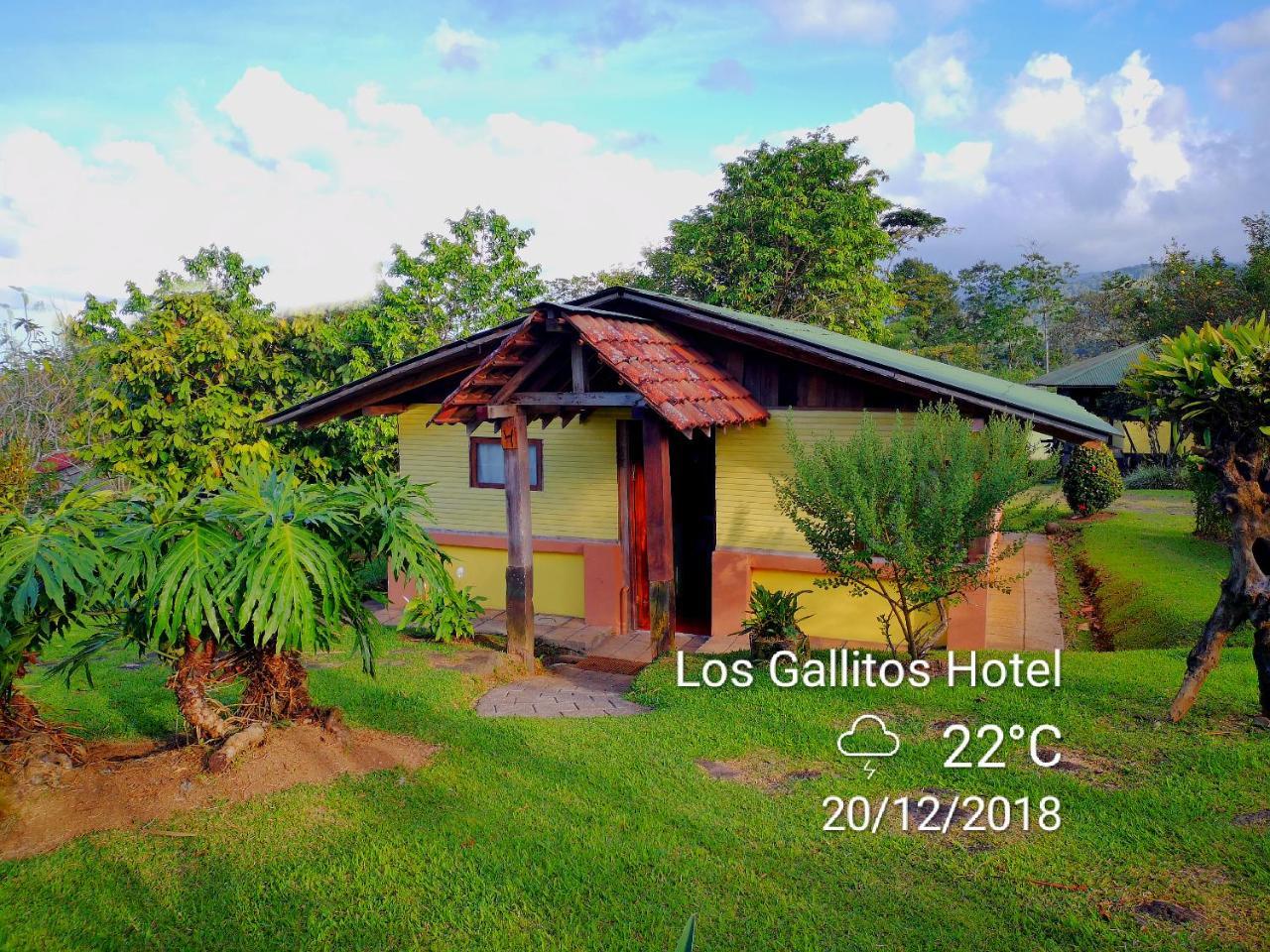 Los Gallitos Eco Lodge San Miguel  外观 照片